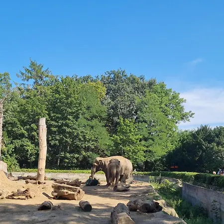 アパート Merlin ヴロツワフ