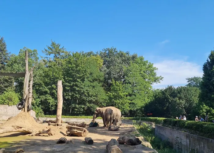 Lejlighed Merlin Wrocław